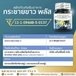 กระชายขาว เสริมภูมิคุ้มกัน ให้ร่างกาย ช่วยบำรุงหัวใจ สมอง บำรุงกระดูก แก้ลมวิงเวียน แน่นหน้าออก สมุนไพร กระชายขาวสกัด 1 กระปุก 30 แคปซูล คุณส่ง