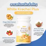 กระชายขาว สมุนไพร เสริมภูมิคุ้มกัน White Krachai ชนิดแคปซูล บำรุงธาตุ จุกเสียด แน่นท้อง น้ำตาลสูง ต้านการอักเสบ 1 กระปุก 30 แคปซูล