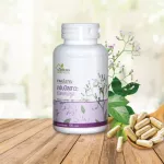 สมุนไพรหมอละออง ยาขับปัสสาวะ ปรับค่าไต ฟื้นฟูไต ลดเบาหวาน ลดน้ำตาลในเลือด รักษาระบบปัสสาวะ 1 กระปุก 100เม็ด