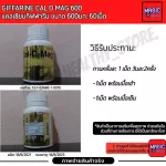 Calcium Giffarine Cal d mag 600 mg แคลเซียม แคลดีแมก อาหารเสริม กิฟฟารีน ยาเม็ด เพิ่มความสูงเด็ก บำรุงกระดูก แก้ปวดเข่า ผู้สูงอายุ