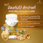 CHAME’ HERB FINGER ROOT PLUS กระชายขาว สมุนไพรไทย เสริมสร้างภูมิต้านทาน กระตุ้นการสร้างภูมิคุ้มกัน ให้กับร่างกายแข็งแรง