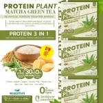 Protein Plants protein planet, Matcha green tea flavor from 3 plants, organic protein, protein from peas, peas, instant potatoes, 1 box of powder, 7 sachets, 350 grams.
