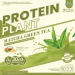 Protein Plants protein planet, Matcha green tea flavor from 3 plants, organic protein, protein from peas, peas, instant potatoes, 1 box of powder, 7 sachets, 350 grams.