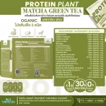 Protein Plants protein planet, Matcha green tea flavor from 3 plants, organic protein, protein from peas, peas, instant potatoes, 1 box of powder, 7 sachets, 350 grams.