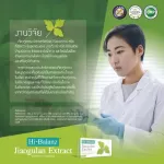 ไฮบาลานซ์ สารสกัดจากเจียวกู่หลาน / Hi-Balanz Jiaogulan Extract / มีส่วยช่วยลดระดับน้ำตาล และคอเลสเตอรอล / 1 กล่อง