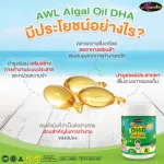 New !! AWL ALGAL OIL DHA CHWALLE 60 Capsules Price 1,090 baht
