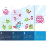 N-Acetyl Cysteine, NAC 1000 mg 120 Tablets NOW FOODS®