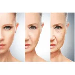 The supplement to slow down the degeneration of the cells. Restore the level of Geroprotct Ageless Cell 30 Softgels Life Extension®.