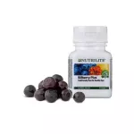 Amway Nutrite I Blend Vitamin Vitamin Eyes, Amway Nutrilite Bilberry Plus I-Blend, 60 bottles of eyes, 1 bottle 1 bottle