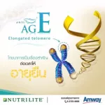 Amway Nutrilite Fish Oil วิตามินบำรุงสมอง ชะลอวัย ช้อปไทยแท้ น้ำมันปลา แอมเวย์ 1 กระปุก 90 แคปซูล พร้อมส่งทันที