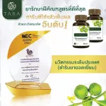 ขันทองพยาบาท ครีมพลูคาว พญายอ ฝีคัณฑสูตร น้ำเหลืองเสีย ผื่นคัน สังคัง ผิวอักเสบ 3กระปุก ฟรี พลูคาว 1หลอด ส่งฟรี!!