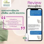 สมุนไพร ขับปัสสาวะ  บ้านหมอละออง ปรับค่าไต ลดเบาหวาน บำรุงไต สมุนไพรสำหรับผู้มีปัญหาไต 1 กระปุก 100 แคปซูล