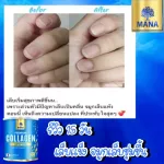 mana collagen คอลลาเจนบำรุงกระดุก ผิวใส บำรุงผิว Collagen มานาคอลลาเจน มานาcollagenแท้ คอลลาเจนญาญ่า มานา คอลลาเจน ซื้อ1แถม1 ส่งฟรี