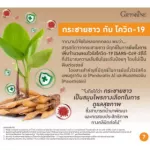 กระชายขาวกิฟฟารีน Giffarine กระชาย-พลัส Krachai-Plus ผลิตภัณฑ์เสริมอาหารกระชายผง ผสมเบต้า-กลูแคนจากยีสต์ วิตามินซี