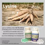 Lysine LYSINE L-L-Lizine supplements mixed with vitamin B6 types, 100 tablets containing FDA.