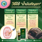 Cannabis Extracted Oil hemp