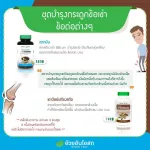 SET Double X2 Sesamin Sesamin Black Sesame Capsules Extract Black Sesame Bone Nourishing Bone Supplements Size 60 new tablets