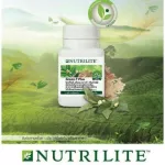 Amway นิวทริไลท์ กรีนทีพลัส แอมเวย์ ผลิตภัณฑ์เสริมอาหาร กรีน-ที พลัส วิตามินลดน้ำหนัก อิ่มไว Green Tea Plus บรรจุ 60 เม็ด