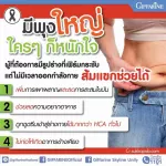 กิฟฟารีน Giffarine สลิมม์-ฟิตต์  Slimm Fitt สารสกัดจากผลสัมแขก ผสม แอล-คาร์นิทีน และโครเมียม ชนิดผง เพิ่มการเผาผลาญ ลดการสะสมไขมัน 15 ซอง sachets 4094