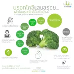 Nano USMILE101 vegetable powder Nano Blook Cole