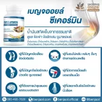 เบญจออยล์ ซีเคอร์มิน 30 แคปซูล