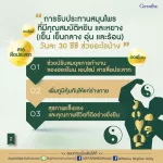 กิฟฟารีน GIFFARINE ปัณจะ ภูตะ Punja Puta เครื่องดื่มน้ำสมุนไพร 100% 39 200 ml / 700 ml ชนิด 83020 - 83021