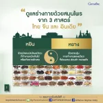 กิฟฟารีน GIFFARINE ปัณจะ ภูตะ Punja Puta เครื่องดื่มน้ำสมุนไพร 100% 39 200 ml / 700 ml ชนิด 83020 - 83021