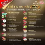 Chame 'Sye S Plus Shame SP S Plus, urgent weight supplement Helps block and burn fat. Suitable for people who are difficult to reduce, reduce belly