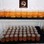 ผลิตภัณฑ์เสริมอาหาร ถั่งเช่าสีทองสกัด ตรา บีซีเอฟ คอร์ดี้