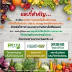 Firefighting food supplements Extract from vegetables and fruits, Giffarine brands