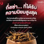 Giffarine, Tangle, Women and Men's formulas Confidence in the quality of Giffarine international standards