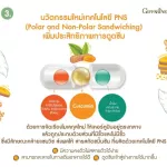 เคอร์คิวมา ซี-อี แมกซ์ สารสกัดขมิ้นชัน ที่เหนือกว่าขมิ้นชันทั่วไป เสริมประสิทธิภาพการต้านอนุมูลอิสระด้วยวิตามินซีและอี