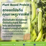 Wigan Multi -Platin Protein of Plant Protein has a BCAAS, providing up to 11 grams of protein/sachet. Suitable for those who want protein at all ages.