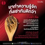กิฟฟารีน Giffarine ถั่งเช่า Chong Cao ถั่งเช่าชนิดผง แคลเซียม แอสคอร์เบต 98% ส่งเสริมสมรรถภาพทางเพศ บำรุงอวัยวะภายใน ไต ตับ ปอด เซลล์ 20 แคปซูล 41024