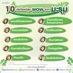 กิฟฟาริน Giffarine มะรุม-ซี ใบมะรุมผสมวิตามินซี ลดคอเลสเตอรอล ความดันโลหิตสูง ลดระดับน้ำตาล ลดการเกิดเนื้องอก ต้านมะเร็ง 60 แคปซูล Capsules 41019