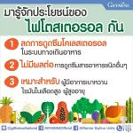 กิฟฟาริน Giffarine ไฟโตสเตอรอล Phytosterol ลดการดูดซึมคอเลสเตอรอลชนิดเลว 60 แคปซูล capsules 40115