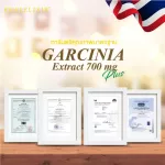 Garcinia, Garcinia Extract 30 Capsule