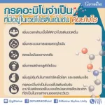 กิฟฟารีน Giffarine เวย์ มารีน  โกโก้ / วนิลา / โยเกิร์ต Whey Marine Drink Cocoa / Vanilla / Yogurt เครื่องดื่มเวย์โปรตีน ผสมคอลลาเจน 15 ซอง 82050