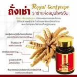 ตังถั่งเช่าจากฑิเบต ตรา หลินจือถั่งเช่า MVmall