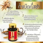 ตังถั่งเช่าจากฑิเบต ตรา หลินจือถั่งเช่า MVmall