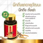 ตังถั่งเช่าจากฑิเบต ตรา หลินจือถั่งเช่า MVmall