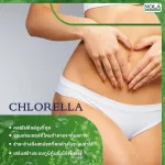 Nola Chlorella Vegan Capsules Super food that has high natural chlorophyll Helps to balance the digestive system Drain the waste in the body