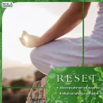 Nola Chlorella Vegan Capsules Super food that has high natural chlorophyll Helps to balance the digestive system Drain the waste in the body