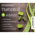 Herbal Alloination, Mango Smell, Drink, Aloe Vera Station, Mango Scent