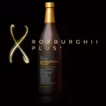 ROXBURGHII PLUS  SINGLE BOTTLE ร็อกซ์เบอร์กี้ พลัส ขวดเดี่ยว พร้อมแก้วช็อท