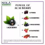 Nola Asa, Berry, Friedr, Vigue, Capsules, Super Foods, Natural Antioxidants. The skin that the body needs the most.