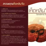 เห็ดหลินจือสกัด ชนิดแคปซูล ตรา กิฟฟารีน