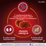 เห็ดหลินจือสกัด ชนิดแคปซูล ตรา กิฟฟารีน