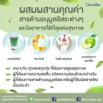 Chlorophyll C-O, chlorophyll dietary supplement, vitamin C, Oligo Fructose And Giffarine powder apple extract