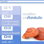กิฟฟารีน Giffarine ชาชงเห็ดหลินจือ  Ling Zhi Infusion 1 กรัม g x 25 ซอง Sachets 48006